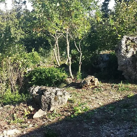 Des Templiers -